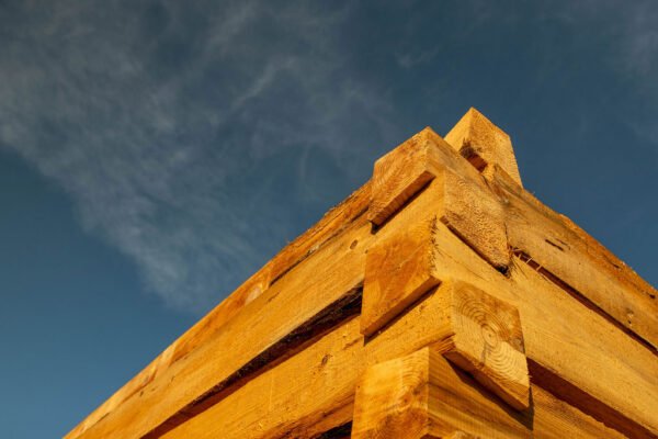 Full Tuition for Dovetail Cabin Academy Participant - Image 4